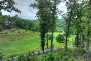 658 Old Toccoa Loop, Mineral Bluff, GA 30559 - Photo 59