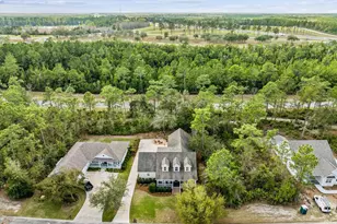 218 Blue Heron Trail, Waverly, GA 31565 - Photo 89