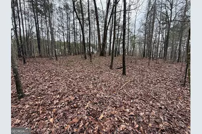 0 Cheryl Street #LOTS 38, 39, 40, Luthersville, GA 30251 - Photo 7