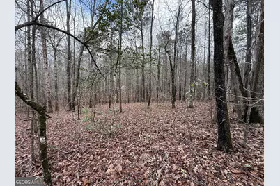 0 Cheryl Street #LOTS 38, 39, 40, Luthersville, GA 30251 - Photo 5