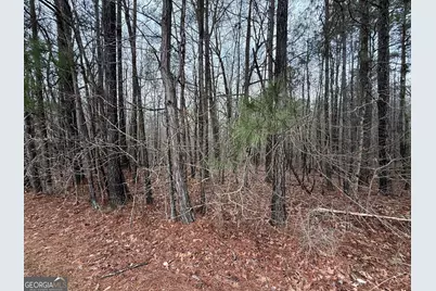 0 Cheryl Street #LOTS 38, 39, 40, Luthersville, GA 30251 - Photo 1
