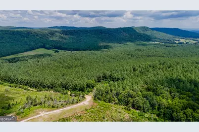 Tract 8 Back Valley Road, Lyerly, GA 30730 - Photo 5