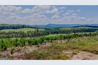 Tract 8 Back Valley Road, Lyerly, GA 30730 - Photo 11