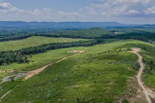 Tract 8 Back Valley Rd, Lyerly, GA 30730 - Photo 1