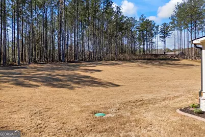 339 Flat Creek Drive, Monroe, GA 30655 - Photo 43