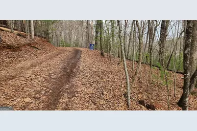 Lot 13 Mangums Trail, Blue Ridge, GA 30513 - Photo 5