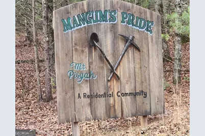 Lot 13 Mangums Trail, Blue Ridge, GA 30513 - Photo 3
