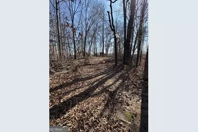 4105 Parks Road, Flowery Branch, GA 30542 - Photo 1