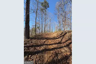 0 Lawrence Road, Dawsonville, GA 30534 - Photo 5