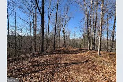 0 Lawrence Road, Dawsonville, GA 30534 - Photo 3