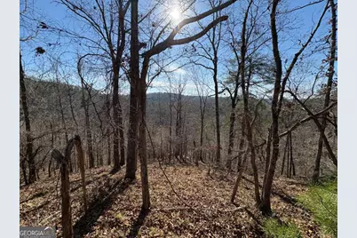 0 Lawrence Road, Dawsonville, GA 30534 - Photo 7