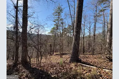 0 Lawrence Road, Dawsonville, GA 30534 - Photo 11