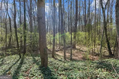 3222 Crossing Drive, Snellville, GA 30078 - Photo 9