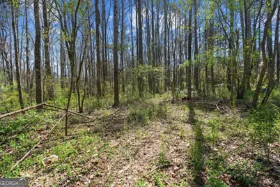 3222 Crossing Drive, Snellville, GA 30078 - Photo 7