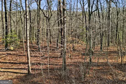0 Winters Mountain Road, Dahlonega, GA 30533 - Photo 3