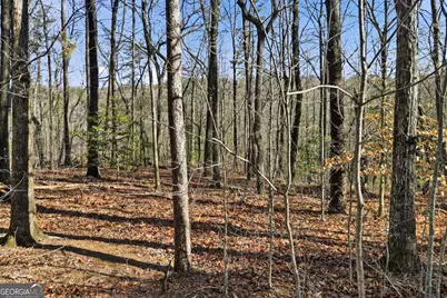 0 Winters Mountain Road, Dahlonega, GA 30533 - Photo 9