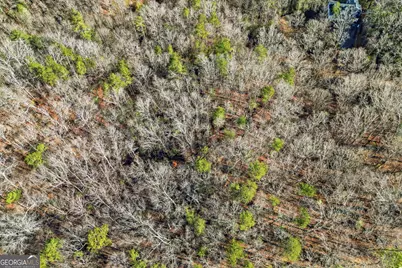 0 Winters Mountain Road, Dahlonega, GA 30533 - Photo 5