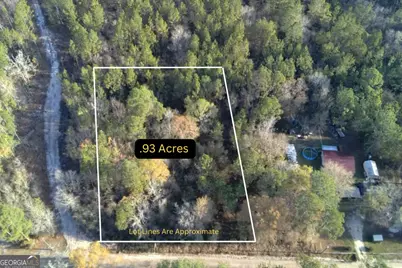 00 Robin Lane, Nahunta, GA 31553 - Photo 1
