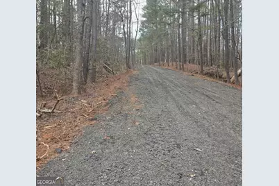 0 White Pine Ct., Sparta, GA 31087 - Photo 5