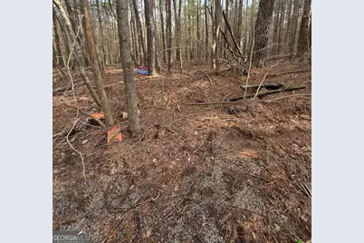 0 White Pine Ct., Sparta, GA 31087 - Photo 3
