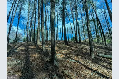 Lt 30-31 Eagle Ridge Road, Dawsonville, GA 30534 - Photo 5