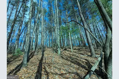 Lt 30-31 Eagle Ridge Road, Dawsonville, GA 30534 - Photo 9