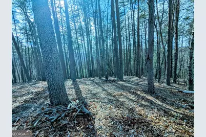 Lt 30-31 Eagle Ridge Road, Dawsonville, GA 30534 - Photo 11