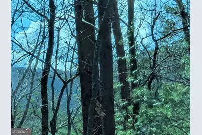 Lt 30-31 Eagle Ridge Road, Dawsonville, GA 30534 - Photo 7