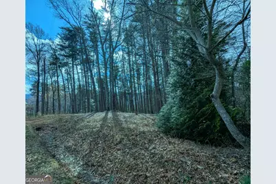 Lt 30-31 Eagle Ridge Road, Dawsonville, GA 30534 - Photo 3