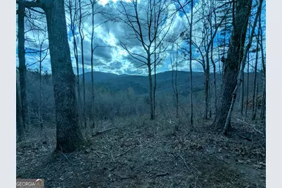 Lt 30-31 Eagle Ridge Road, Dawsonville, GA 30534 - Photo 17