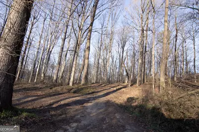 780 Bellamy Road, Lula, GA 30554 - Photo 13