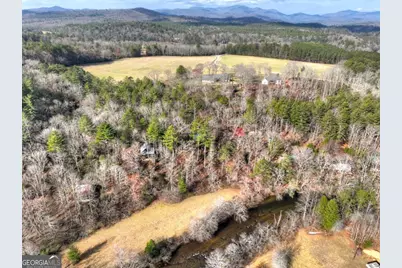 373 Wib Kendall Road, Blue Ridge, GA 30513 - Photo 39