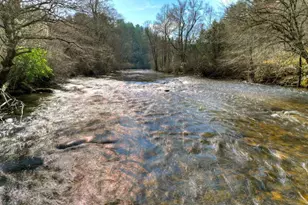 373 Wib Kendall Rd, Blue Ridge, GA 30513 - Photo 43