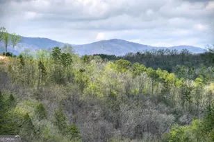 250 Noah Cir, Ellijay, GA 30540 - Photo 3