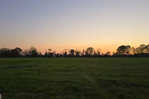 35646 Hendricks, Metter, GA 30439 - Photo 3