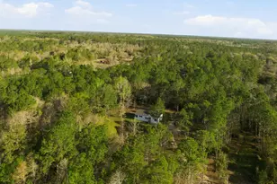 145 Christy Dr, Waverly, GA 31565 - Photo 53