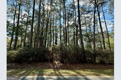 0 N Columbia Avenue, Rincon, GA 31326 - Photo 1
