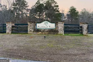 35 Saddleback Farms Dr, Newnan, GA 30263 - Photo 3