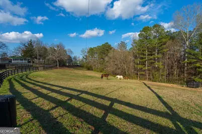 35 Saddleback Farms Drive, Newnan, GA 30263 - Photo 3