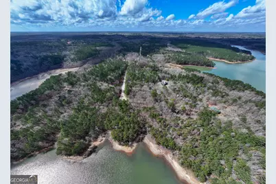 3 Acres Happy Hollow Road, Hampton, GA 30228 - Photo 17