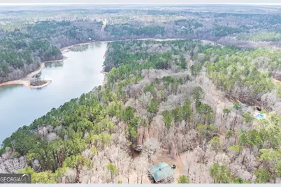 3 Acres Happy Hollow Road, Hampton, GA 30228 - Photo 31