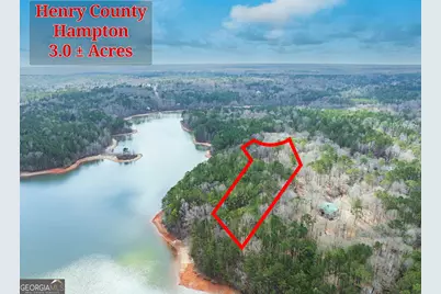 3 Acres Happy Hollow Road, Hampton, GA 30228 - Photo 37