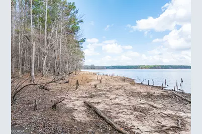 3 Acres Happy Hollow Road, Hampton, GA 30228 - Photo 7