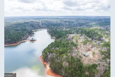 3 Acres Happy Hollow Road, Hampton, GA 30228 - Photo 27