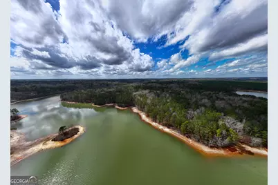 3 Acres Happy Hollow Road, Hampton, GA 30228 - Photo 19