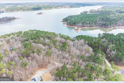 3 Acres Happy Hollow Road, Hampton, GA 30228 - Photo 25