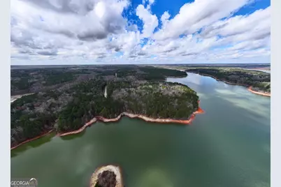 3 Acres Happy Hollow Road, Hampton, GA 30228 - Photo 15