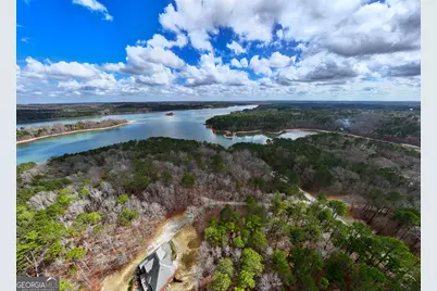 3 Acres Happy Hollow Road, Hampton, GA 30228 - Photo 9