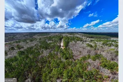 3 Acres Happy Hollow Road, Hampton, GA 30228 - Photo 11