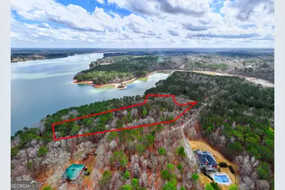 3 Acres Happy Hollow Road, Hampton, GA 30228 - Photo 1